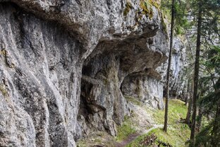 Zväčšiť fotografiu - Exkurzia v jánskej doline